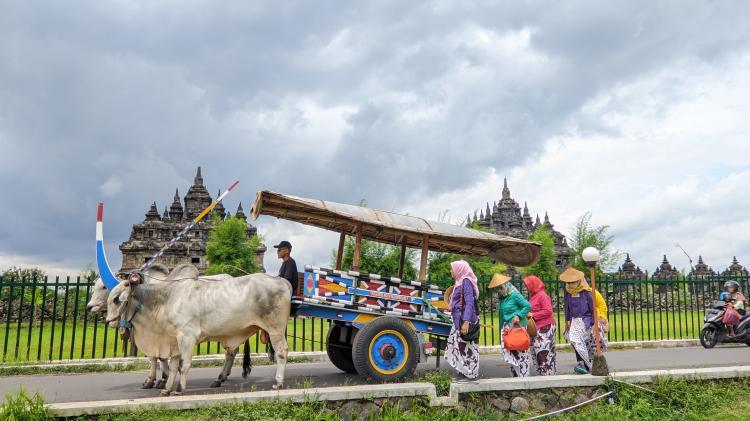 PAKET WISATA GEROBAG TOUR